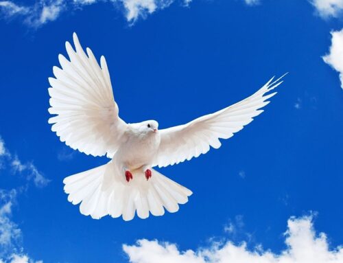 28.05.2023 Воскресная проповедь, Тема: «Дух Святой», часть 2